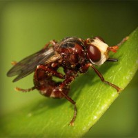 /album/projekt/photolia-a06-jpg/